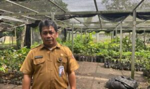 BBTPH Kalsel Perkuat Ketahanan Pangan Lewat Produksi Benih Unggul