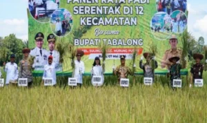 Kalsel Ukir Sejarah Raih Peringkat Pertama Indeks Ketahanan Pangan Nasional