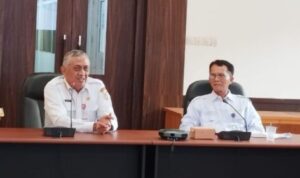 Pemprov Kalsel Dorong Optimalisasi Pendataan UMKM Lewat SIDT