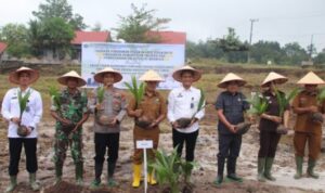 Rutan Tamiang Layang Tanam 814 Pohon Kelapa