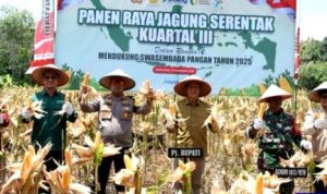 Kapolres Barut Ajak Dukung Ketahanan Pangan Lewat Panen Raya Jagung