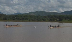 Dayung Batola Tambah Emas di Porprov XII