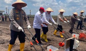 Gubernur Kalsel Dukung Penuh Penanaman Jagung Serentak Dorong Swasembada Pangan