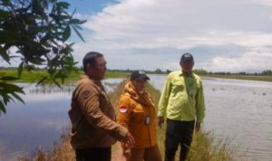 Hadapi Cuaca Ekstrem, BPTPH Kalsel Sigap Amankan Produksi Tani Banjarbaru
