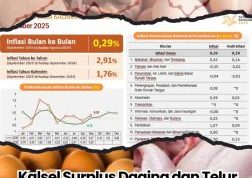 Kalsel Surplus Daging dan Telur Ayam Ras September 2025