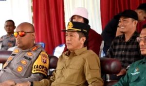 Pemkab Barut Tegaskan Komitmen Swasembada Pangan di Panen Raya Jagung