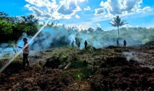 TNI & Warga Desa Jamut Buka Lahan Pertanian Baru Dukung Ketahanan Pangan