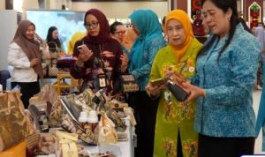 TP PKK Barut Dukung Sinergi dengan TP PKK Pusat untuk Kesejahteraan
