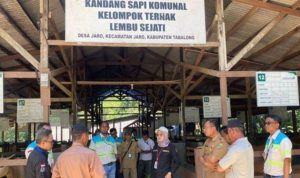 Disbunnak Kalsel Gandeng Tambang Percepat Pembangunan Peternakan