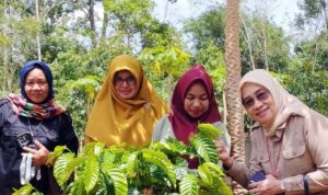 Kalsel Gencarkan BANGKODIN untuk Dongkrak Kopi Rakyat