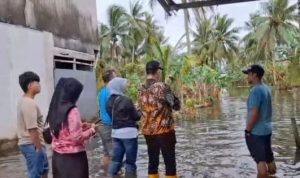 DPRD Banjarmasin Tinjau Banjir Tak Kunjung Surut, Soroti Aliran Tersumbat