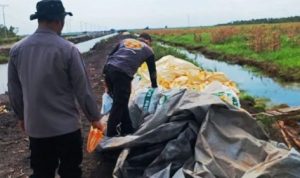 Polresta Banjarmasin Rampungkan Panen 44 Ton Jagung