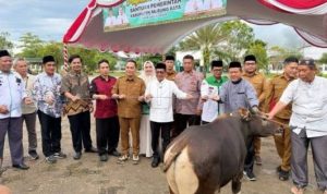 Pemkab Murung Raya Salurkan 111 Ekor Sapi Kurban Jelang Iduladha 1447 H