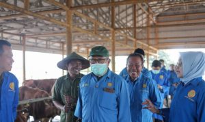 DPRD Kalsel Dorong Penguatan Peternakan untuk Ketahanan Pangan