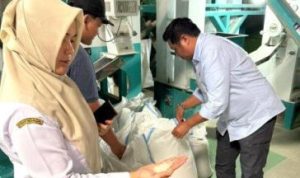 Wabup Felix Tingan Pelajari Hilirisasi Pertanian di Nganjuk