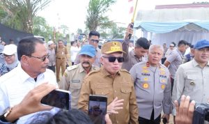Kalsel Siapkan Lima Kabupaten Jadi Sentra Jagung