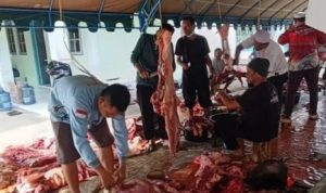 RSUD Kapuas Kurbankan Enam Ekor Sapi