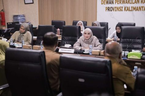 Komisi III Soroti Realisasi Anggaran DESDM Kalsel