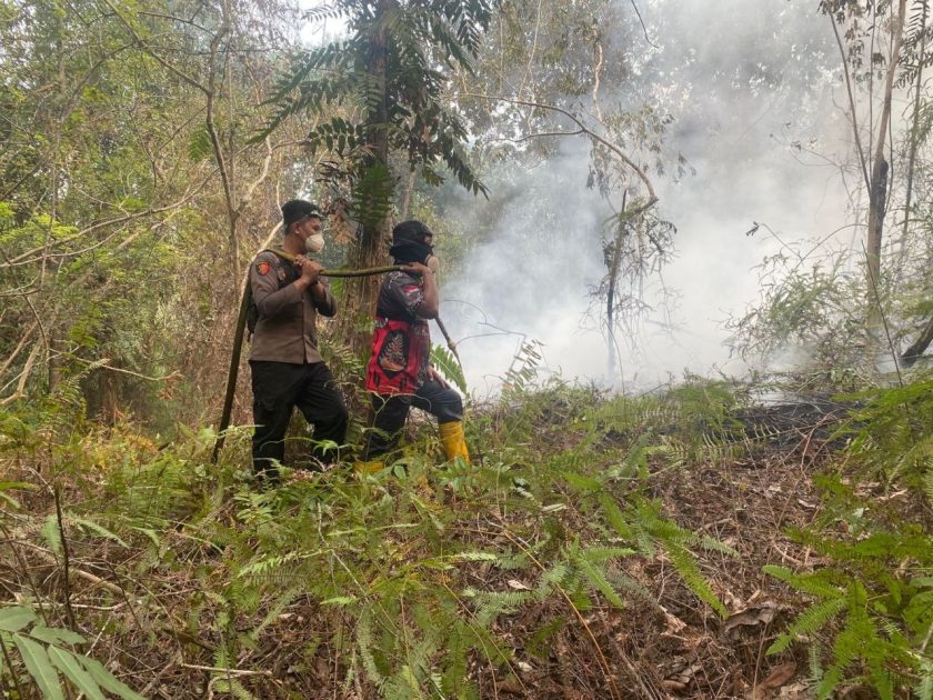 Karhutla 0,25 Hektare di Desa Dayu Berhasil Dipadamkan